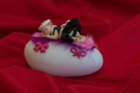 /album/galerie-de-photos-galerie-photos/bebe-fille-robe-noire-recad-jpg/